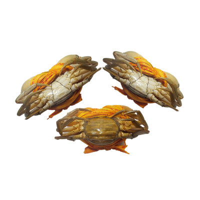 青蟹价格 青蟹最新报价 青蟹多少钱 苏宁易购