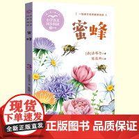 正版法布尔昆虫记蜜蜂年级三下册读的课外书经典小学语文同步阅读教材配套课文里的作家系列生物知识长江文艺出版社