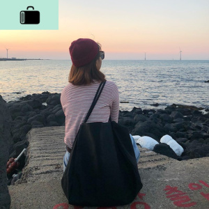 斜挎包包女2020新款ins单肩百搭文艺简约布包帆布斜跨大容量包包NEW LAKE 黑色袋口有拉链女斜挎包 黑色袋口有拉链