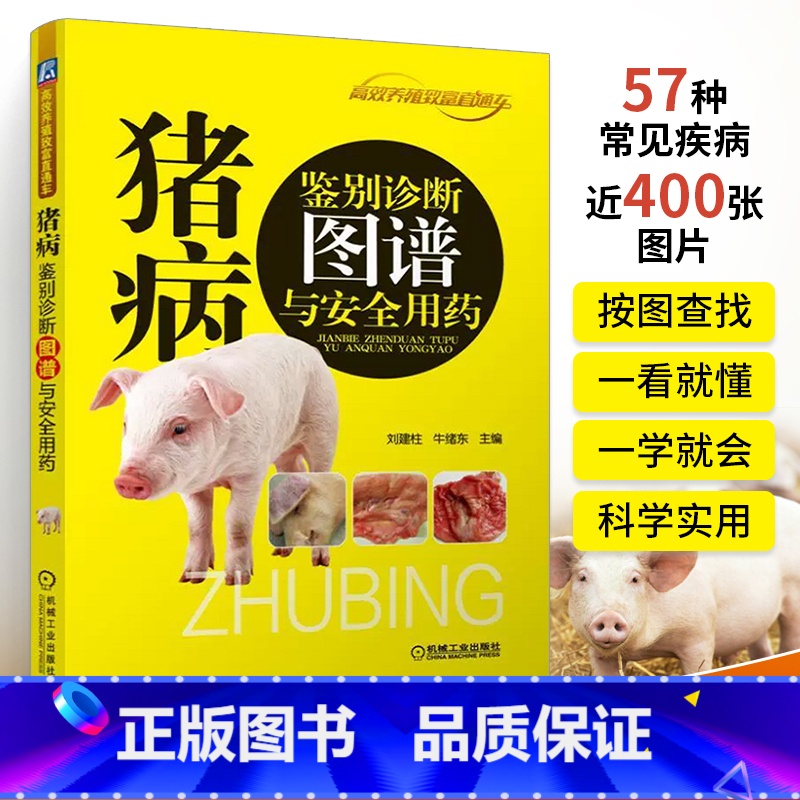[正版]猪病鉴别诊断图谱与安全用药 养猪技术书大全猪病诊治与用药兽药兽医猪养殖猪饲料配方图解与鉴别书籍养猪场设计教程母