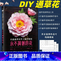 非遗通草花手工制作指南 [正版]非遗通草花手工制作指南 永不凋谢的花 通草纸创意手工DIY基础制作技巧饰品摆件花瓶插画教