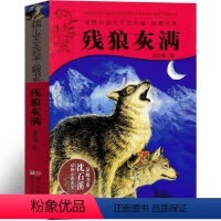 残狼灰满 [正版]残狼灰满 沈石溪动物小说精品集系列儿童文学小学生课外书长篇单本作品全集珍藏版品藏书系大王升级版三四五六