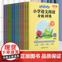 名师课堂 小学语文阅读分级训练 一二三四五六123456年级上下册赠真人讲解视频适合小学生练习辅导小学同步阅读华东理工大