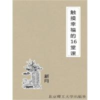 正版新书]黑暗入侵:1915美国首次反恐与卷入一战秘因霍华德·布鲁