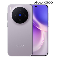 vivo X300 12GB+512GB 惬意紫 6040mAh电池 天玑9500 蔡司2亿主摄 持久流畅 拍照 AI 5G手机