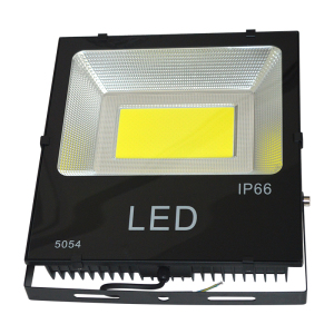 格瑞捷(照树灯)LED投光灯LED泛光灯彩色草坪灯景观灯 100W(绿/红/黄/白/蓝/暖/紫)个
