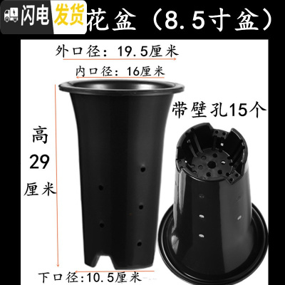 三维工匠塑料加厚加高兰盆带壁孔和不带壁孔款式花盆底自带沥水罩 3号兰花盆[8.5寸]没有拖盘 10个[同号]花盆容器