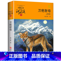 刀疤豺母 [正版]完整版刀疤豺母全本沈石溪的图书籍动物小说大王品藏系列小学生四五六年级儿童文学作品珍藏大全全集1全套单本