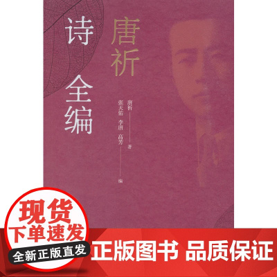 唐祈诗全编 唐祈 人民文学出版社 正版书籍