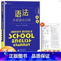 国一 初中通用 [正版]蓝皮英语系列七八九年级英语语法分层强化训练 初一二三789年级上册下册语法培优提升专项训练初中英