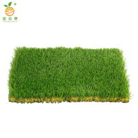 廷豪果 四季青草坪 1平方米 /块