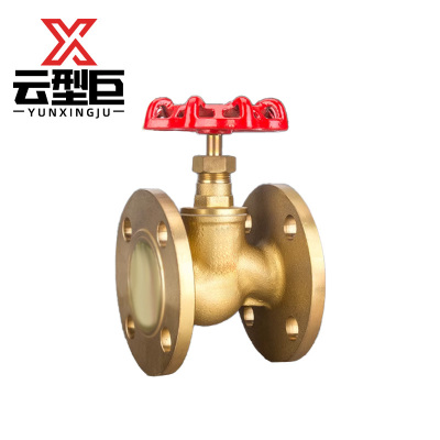 云型巨 黄铜法兰截止阀 DN65 个