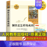 八下 钢铁是怎样炼成的 [正版]礼盒装 初中必读名著十二本 人教版原著课外阅读书籍朝花夕拾西游记红星照耀中国昆虫记水浒传