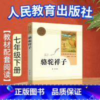 七下⭐骆驼祥子 人教版 [正版]骆驼祥子原著老舍无删减和海底两万里初中生七年级下册课外名著书目中学生初一必课外阅读小说