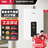 万家乐TP1燃气热水器16L家用 智能恒温强排 ECO节能变升