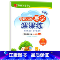写字课课练.六上 [正版]写字课课练 一二年级三四年级五六年级上册下册语文同步练字帖人教版小学生字帖练字本一课一练字帖硬