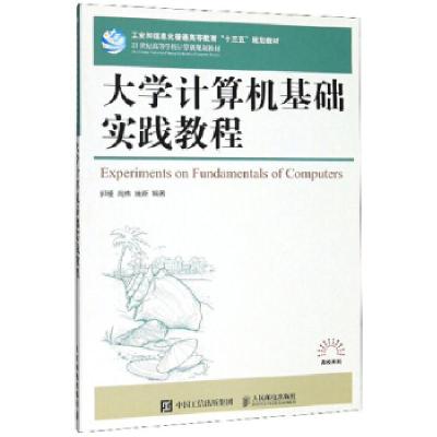 正版新书]大学计算机基础实践教程郭瑾 高伟 庞新9787115513724