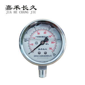 嘉禾长久 不锈钢耐震压力表检测型 YN60BF 块