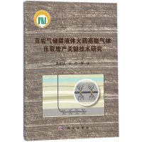 音像页岩气储层液态高能气体压裂增产关键技术研究陈军斌 等 著