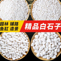 [补贴10%]天然雨花石小白石子多肉铺面盆栽花盆庭院造景装饰白色石头溪流