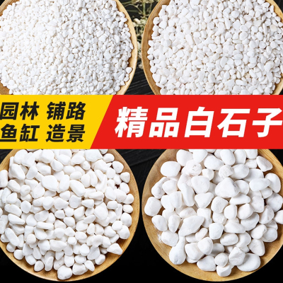 [补贴10%]天然雨花石小白石子多肉铺面盆栽花盆庭院造景装饰白色石头溪流