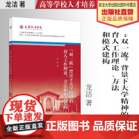 著作 “双一流”背景下大学精神的育人工作理论、方法和模式建构 龙洁 著 高等院校人才培养 上海政法学院院庆三十五周年系列