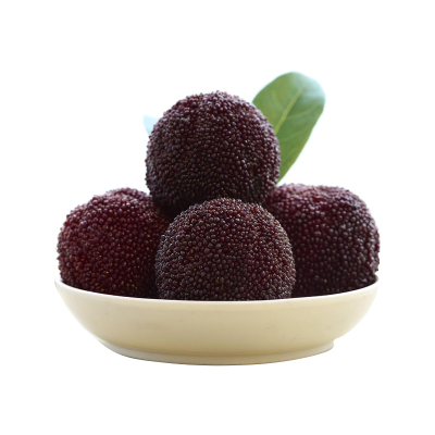 EMS空运[西沛生鲜]新鲜云南杨梅 1盒 250g/盒 新鲜水果 酸甜可口 西沛