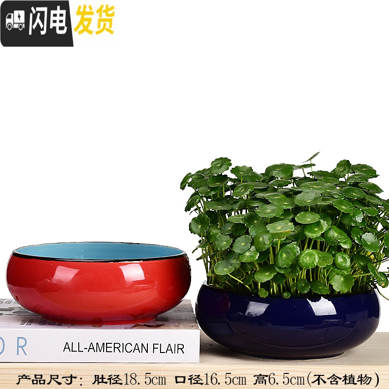 三维工匠水仙花盆铜钱睡莲碗莲荷花多肉水培花盆容器无孔陶瓷特大号 古兰花盆2件套(无孔水培) 中等