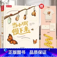 当小脚慢下来+T恤礼盒 [正版] 当小脚慢下来绘本儿童读物3-6岁以上大自然百科读物科普绘本硬壳精装儿童注意力培养睡前绘