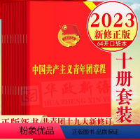 [正版]10册套装2023新版中国共青团团章 中国共产主义青年团章程2023年共青团十九大修订团的基层组织制度团徽团歌