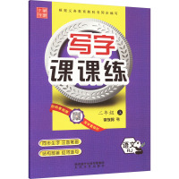 写字课课练 语文 2年级 上 RJ