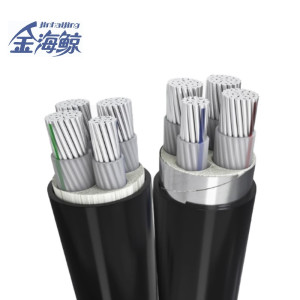 金海鲸 低压铝电缆YJLV4×70+1 米