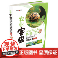 农业害虫识别与防治原色生态图谱(图文并茂地介绍了百余种主要农业害虫的田间识别、危害与防治方法)