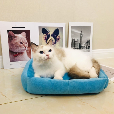 冬季网红宠物窝狗窝猫窝泰迪贵宾法耐宠物用品s