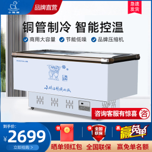 小鸭(xiaoya)冷柜商用岛柜大容量冷藏冷冻冰柜雪糕卧式冰箱超市玻璃展示柜SD/SC2000XS