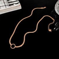 ins高级感轻奢2024年新款钛钢不掉色项链短款锁骨链颈链chocker送女朋友老婆情人节七夕生日礼物