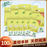 清风湿厕纸便携装小包100片10包湿厕巾擦屁股湿卫生纸