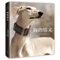 音像狗的情义(英)塔姆欣·皮克拉尔著