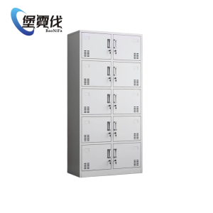 堡霓伐 十门更衣柜 850*390*1800mm 个