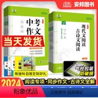 现代文+古诗文阅读[七年级] 初中通用 [正版]2024版53初中语文专项训练七八九年级中考现代文古诗文阅读理解同步作文