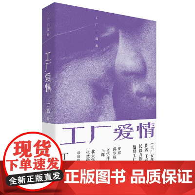 工厂爱情故事 男女爱情 丁燕 著 中国工人出版社 现代当代长篇小说故事书籍