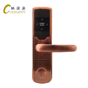 铁渝源 电子智能门锁GT-1008/套