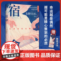 东野圭吾:宿命 东野圭吾宿命感拉满的双男主力作 不寒而栗惊天反转强强对决 外国文学悬疑惊悚破案小说正版书籍
