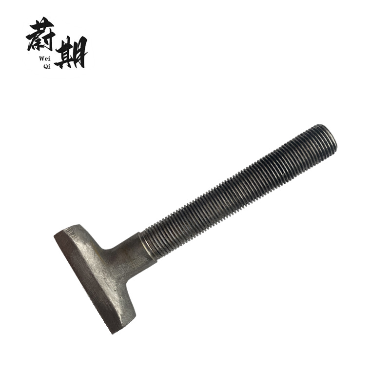 蔚期 不锈钢T型螺栓 M10*120 个