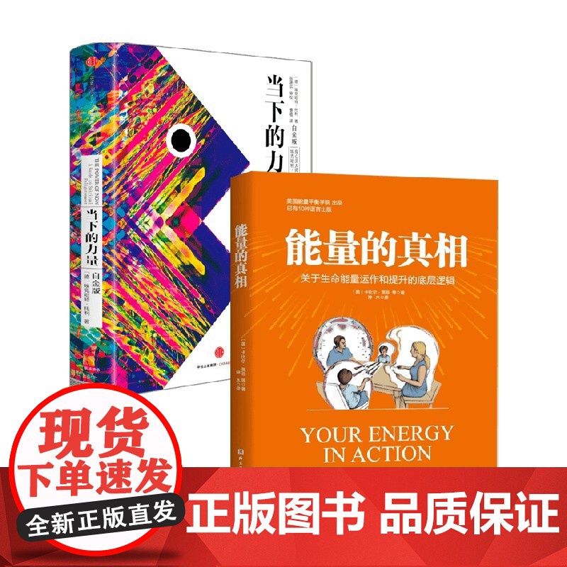 能量的真相+当下的力量 卡比尔·贾菲 著 心理学