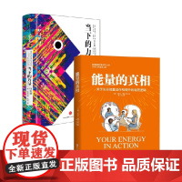 能量的真相+当下的力量 卡比尔·贾菲 著 心理学