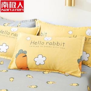 一对装枕套卡通成人枕头套单人卡通枕芯套48x74cm春夏秋冬季