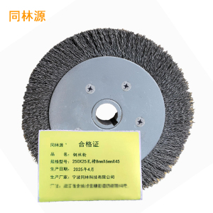 同林源钢丝轮250X25孔槽8mmX6mmX45mm 只