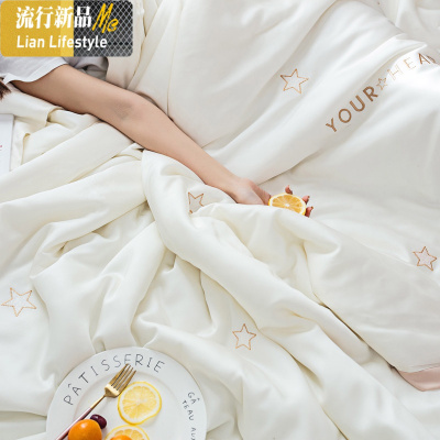 夏季天丝夏凉被可水洗小清新空调被刺绣双人夏被 ins风被芯薄被子 三维工匠