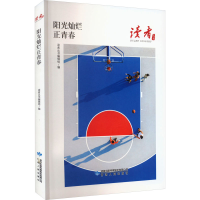 音像阳光灿烂正青春读者丛书编辑组 编